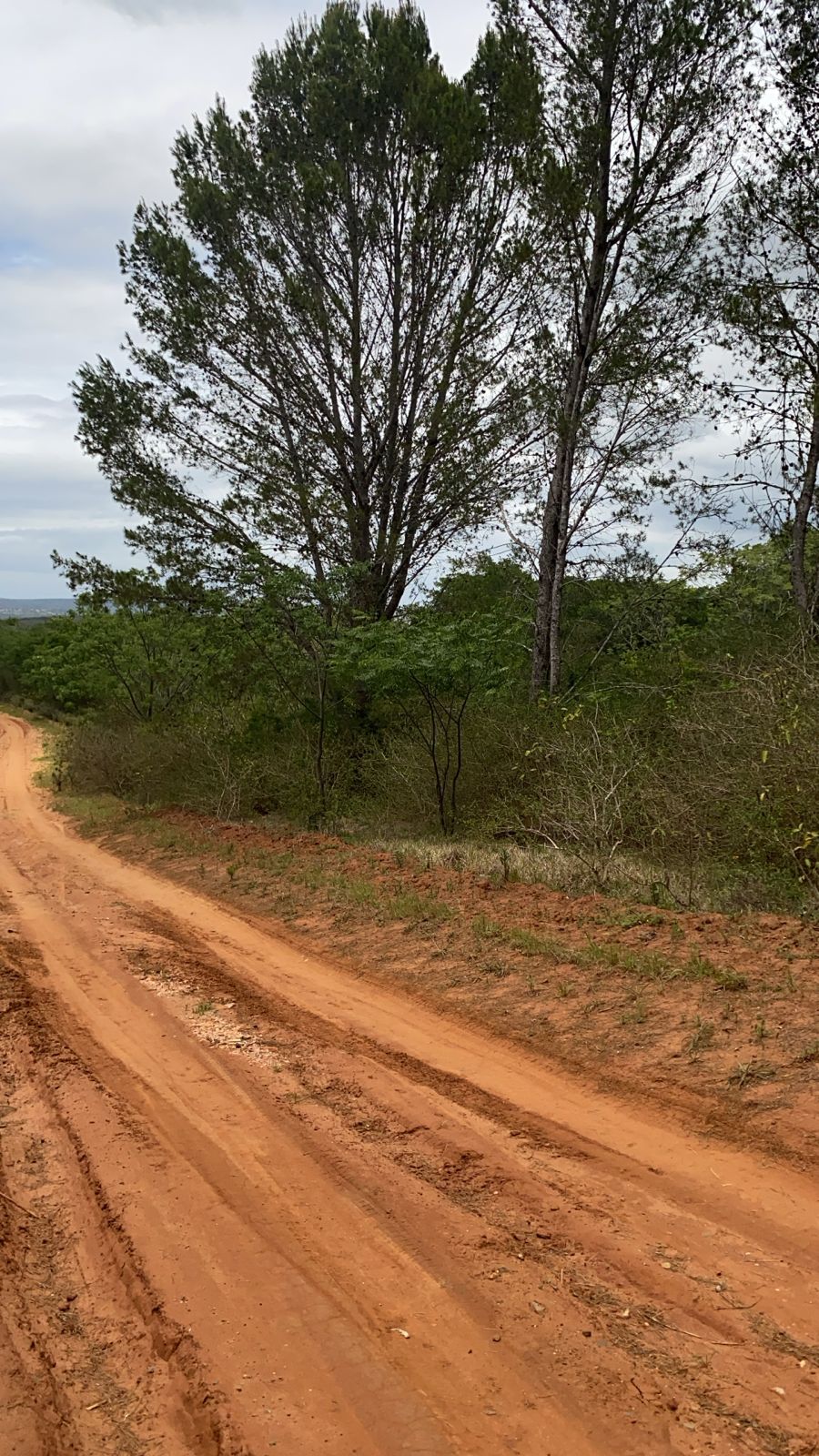 0 Bedroom Property for Sale in Bathurst Eastern Cape